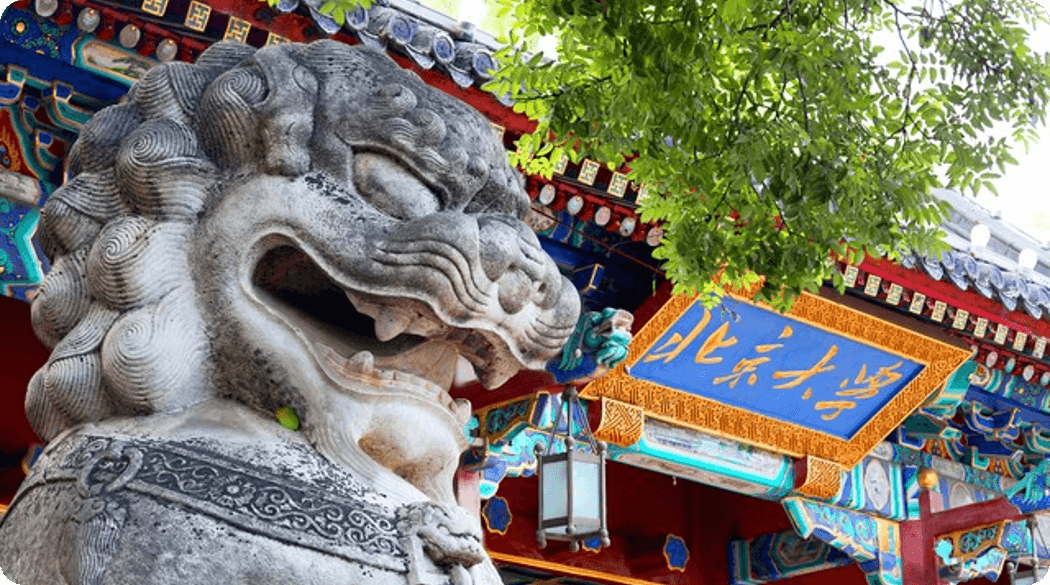 北京大学合作案例