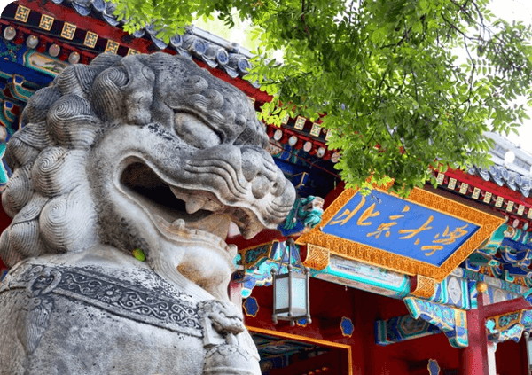 beijingdaxue